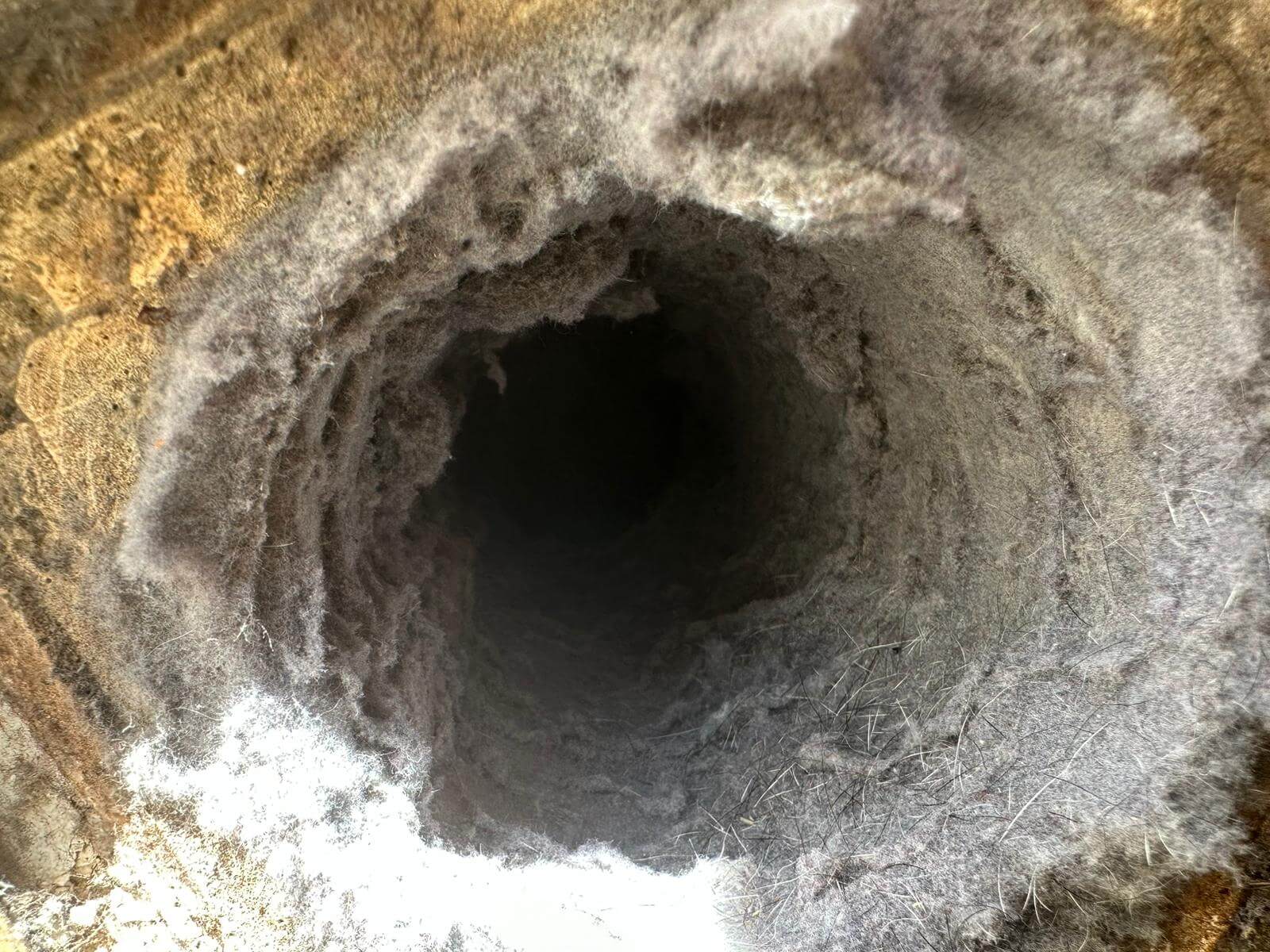 A dryer vent cloged with lint, before being cleaned and serviced by a chimney sweep